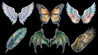 Six fantasy wings and feather clipart set isolated on transparent background, ready for stickers, sublimation, t-shirt design, and print on demand.