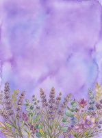 Watercolor lavender field with delicate purple flowers and green stems against soft lavender sky, suitable for backgrounds, greeting cards, and botanical artwork.