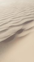Smooth sand dunes with flowing ripple patterns and soft shadows creating natural desert landscape texture for backgrounds and nature designs.