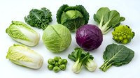 Fresh organic cabbage varieties including green and purple heads, kale, bok choy, romanesco broccoli and Brussels sprouts arranged on white background.