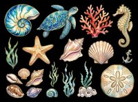 Underwater sea life collection with nautilus, sea turtle, coral, seahorse, starfish, seashells, seaweed, and sand dollar isolated on transparent background. Ready for t-shirt designs, clipart, stickers, and print-on-demand products.
