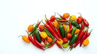 Young woman with medium skin tone, wearing casual attire, holding fresh red and yellow chili peppers with green stems on white background, suitable for food and cooking content.