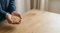 Person in denim shirt holding handful of soybeans over wooden table, showcasing organic legume crop for agricultural, food production, and nutrition content.