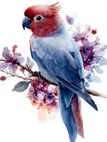 Watercolor style parrot with red head and blue body perched on flowering branch with delicate pink cherry blossoms, artistic nature illustration on white background.