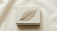 Minimalist dried leaf pressed on textured paper creating natural botanical art composition for eco-friendly branding and organic design projects.