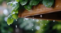 Raindrops falling from wooden roof edge with green leaves above, creating natural water drops pattern in soft bokeh background. Fresh spring atmosphere.