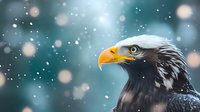 Majestic bald eagle profile against blurred winter background with falling snow and bokeh lights, symbolizing freedom and American wildlife.