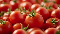 Fresh ripe cherry tomatoes with water drops and green stems in macro view, bright red organic produce for healthy eating and cooking background.