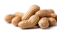 Raw peanuts in shells scattered on white background, macro view with selective focus and natural lighting for food photography and packaging design.