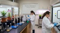 Two female scientists in white lab coats conducting research in modern laboratory with equipment and whiteboard for educational content.