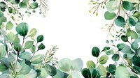 Watercolor eucalyptus leaves and branches frame on white background, botanical greenery border for wedding invitations and greeting cards.