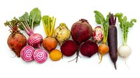 Assorted fresh root vegetables and leafy greens arranged in a row on white background, including beets, carrots, radishes, eggplant and turnips for healthy eating and cooking.