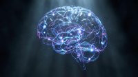 Glowing digital brain with neural network connections and electric blue light effects on dark background for technology and artificial intelligence concepts.