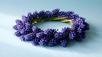 Fresh lavender wreath with purple blooms on light blue background, perfect for aromatherapy, home decor, and natural wellness products.
