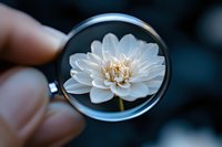 White lotus flower viewed through magnifying glass against dark background, creating artistic macro photography effect with crystal clear reflection and bokeh.