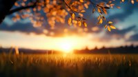 Golden sunset over wheat field with autumn leaves in foreground, dramatic sky and sun rays filtering through branches creating magical evening atmosphere.