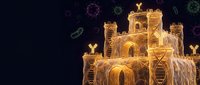 Young adult male of Middle Eastern descent, wearing traditional golden robes, stands before an illuminated castle structure made of light particles against dark background with floating virus molecules, suitable for fantasy, gaming, and digital art projects.