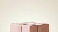 Stacked geometric boxes in soft pink and brown tones on neutral background, suitable for minimalist design, packaging mockups, and contemporary branding projects.