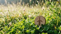 Wooden cross medallion nestled in green clover field with soft sunlight creating peaceful spiritual atmosphere for meditation and faith concepts.