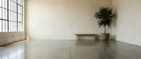 Minimalist empty room interior with concrete floor, white walls, large industrial windows, wooden bench and potted plant for modern design projects.