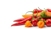 Fresh colorful chili peppers variety including red cayenne and orange habanero peppers isolated on white background for culinary cooking and spice ingredients.
