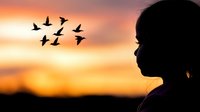 Silhouette of young woman against dramatic orange sunset sky with flock of birds flying in formation, creating peaceful contemplative mood.