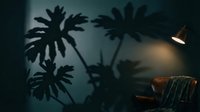 Tropical palm tree shadows cast on wall creating exotic atmosphere with warm lamp lighting and wicker furniture in cozy interior space.
