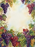 Vintage grape vine border frame with purple, red, and green grapes on watercolor background, ideal for wine labels, invitations, and decorative design projects.
