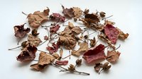 Dried flower petals and botanical stems scattered on white background, suitable for craft projects, floral design, and natural decoration concepts.