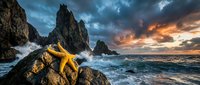 Dramatic rocky coastline with orange starfish on foreground rocks, crashing waves and towering sea stacks under moody sunset sky with golden and blue clouds.