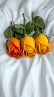 Fresh orange and yellow roses with green leaves arranged on soft white fabric, creating elegant contrast for wedding, anniversary, or romantic occasions.