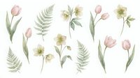 Watercolor spring flowers and fern leaves collection isolated on white background. Delicate botanical elements for wedding invitations and greeting cards.