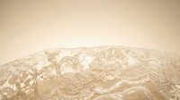 Delicate white lace fabric with intricate floral patterns and scalloped edges on soft beige background for wedding and fashion design projects.