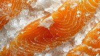 Fresh raw salmon fillet slices on crushed ice, showing vibrant orange color and marbled texture in close-up macro photography view for culinary use.