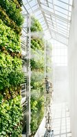 Gardener maintaining vertical green wall in modern greenhouse with natural light and climbing plants for sustainable urban agriculture and eco-friendly design.