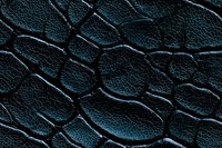 Dark cracked leather texture with blue luminescent glow in crevices creates dramatic abstract pattern. Seamless background for luxury and fashion designs.