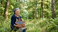 Senior woman with gray hair, Caucasian ethnicity, wearing dark casual clothing, holding wicker basket filled with foraged mushrooms in lush green forest. Foraging concept for wellness, nature activities.