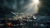 Young green seedling growing from soil with sunbeam shining through darkness, symbolizing hope, new beginnings, and environmental sustainability.