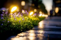 Purple wildflowers bloom along urban pathway at dusk, with soft bokeh street lights creating magical evening atmosphere and golden reflections on wet pavement.
