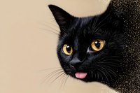 Black cat with golden eyes and pink tongue peeking out against beige and glittery black background, creating whimsical pet portrait.