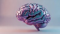 Metallic brain with iridescent purple and blue gradient finish on soft pastel background for neuroscience and medical technology concepts.