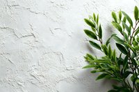 Fresh green plant leaves against textured white wall background, creating minimalist natural contrast for modern interior design.