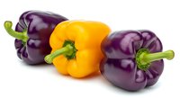 Fresh purple and yellow bell peppers isolated on white background, ready for culinary, food, nutrition, and recipe design projects.