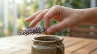 Caucasian adult hand holding dried lavender sprig over rustic ceramic jar on wooden surface with blurred garden background, suitable for wellness, aromatherapy, and lifestyle content.