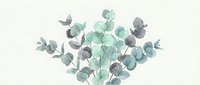 Watercolor eucalyptus branches with green and gray leaves isolated on white background, suitable for botanical designs, wedding invitations, and home decor projects.