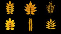 Autumn leaf collection featuring six golden and yellow foliage designs isolated on transparent background. Ready for t-shirt designs, clipart, stickers, sublimation, print-on-demand products, and digital crafts.