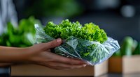 Fresh green lettuce leaves wrapped in plastic film held by female hands against blurred kitchen background, food storage and preservation concept.