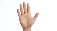 Open palm hand gesture showing five fingers against white background isolated for design and communication concepts.