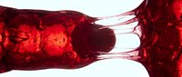 Red liquid flowing between two glass vessels against white background, suitable for scientific, medical, or abstract design projects.