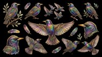 Iridescent starling birds collection with feathers and leaves, isolated on transparent background. Clipart set for t-shirt design, stickers, print on demand, sublimation.